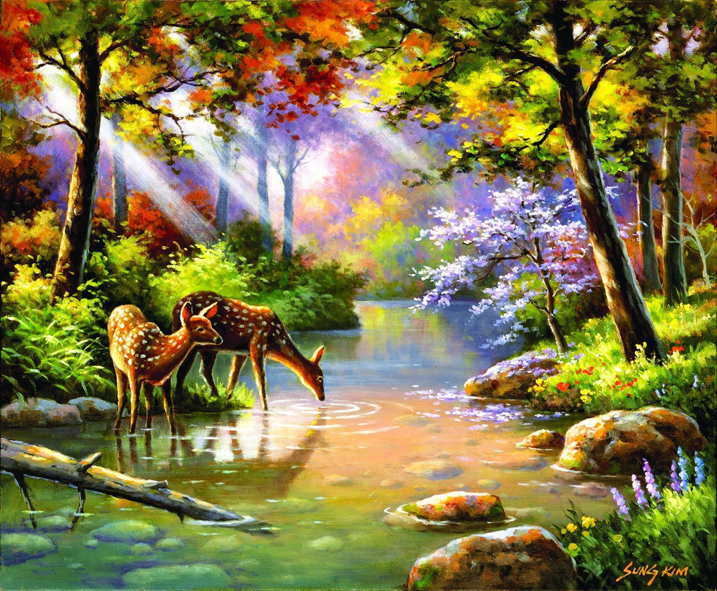 Doe Re Me Creek 1000 pc Jigsaw Puzzle 36597