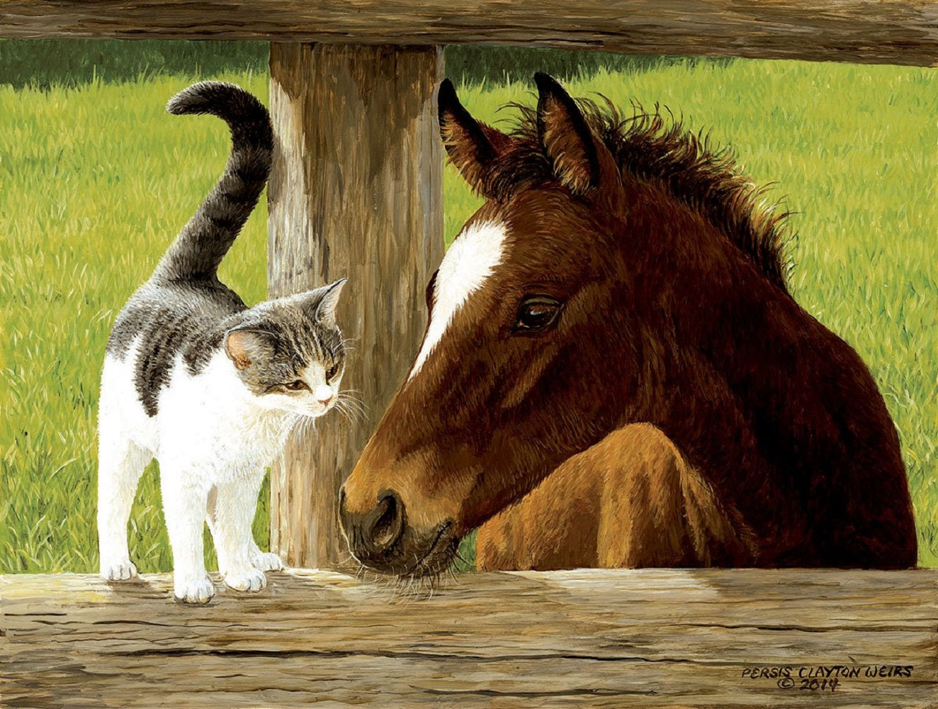 A Whiskery Hello 500 pc Jigsaw Puzzle 51528