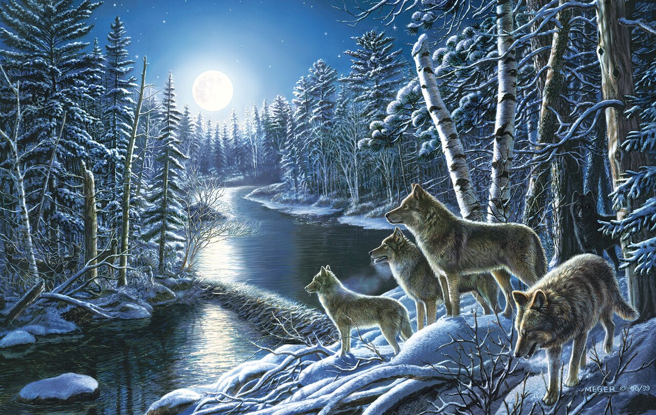 Silent Shadows 550 pc Jigsaw Puzzle 28499