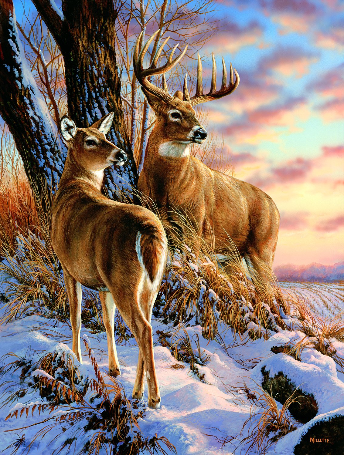 Escapade 500 pc Jigsaw Puzzle 30907