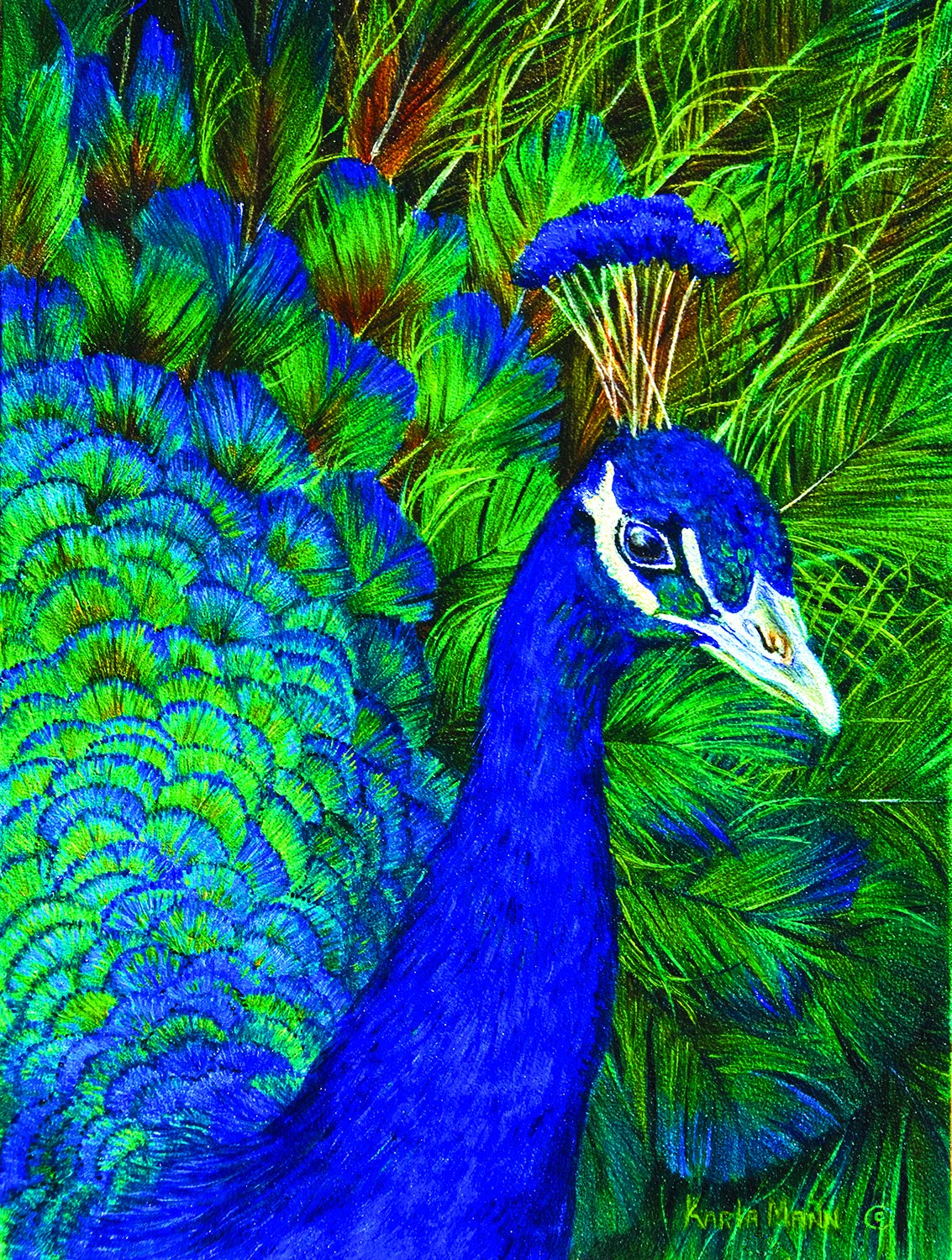 Peacock 1000 pc Jigsaw Puzzle 26204