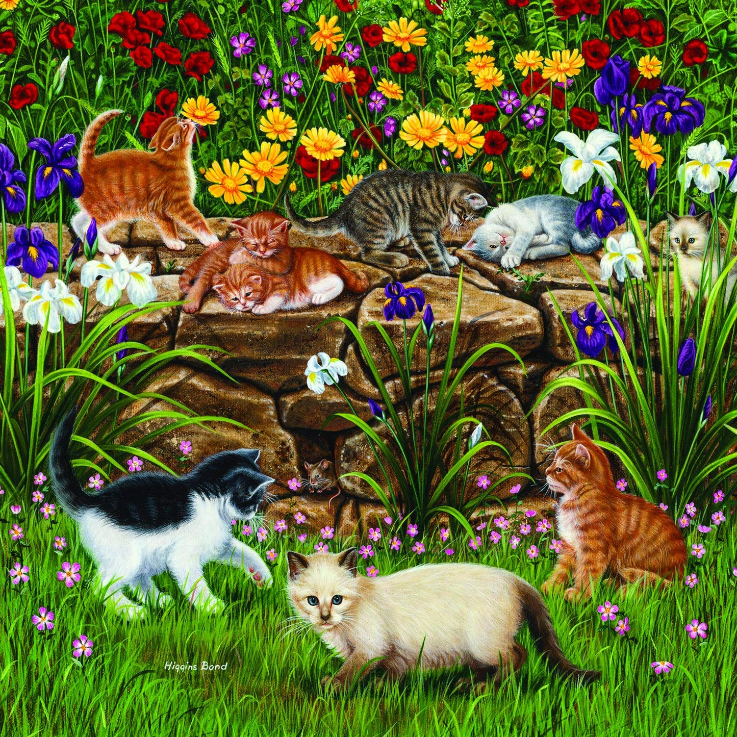 Wall Flowers 500 pc Jigsaw Puzzle 45851