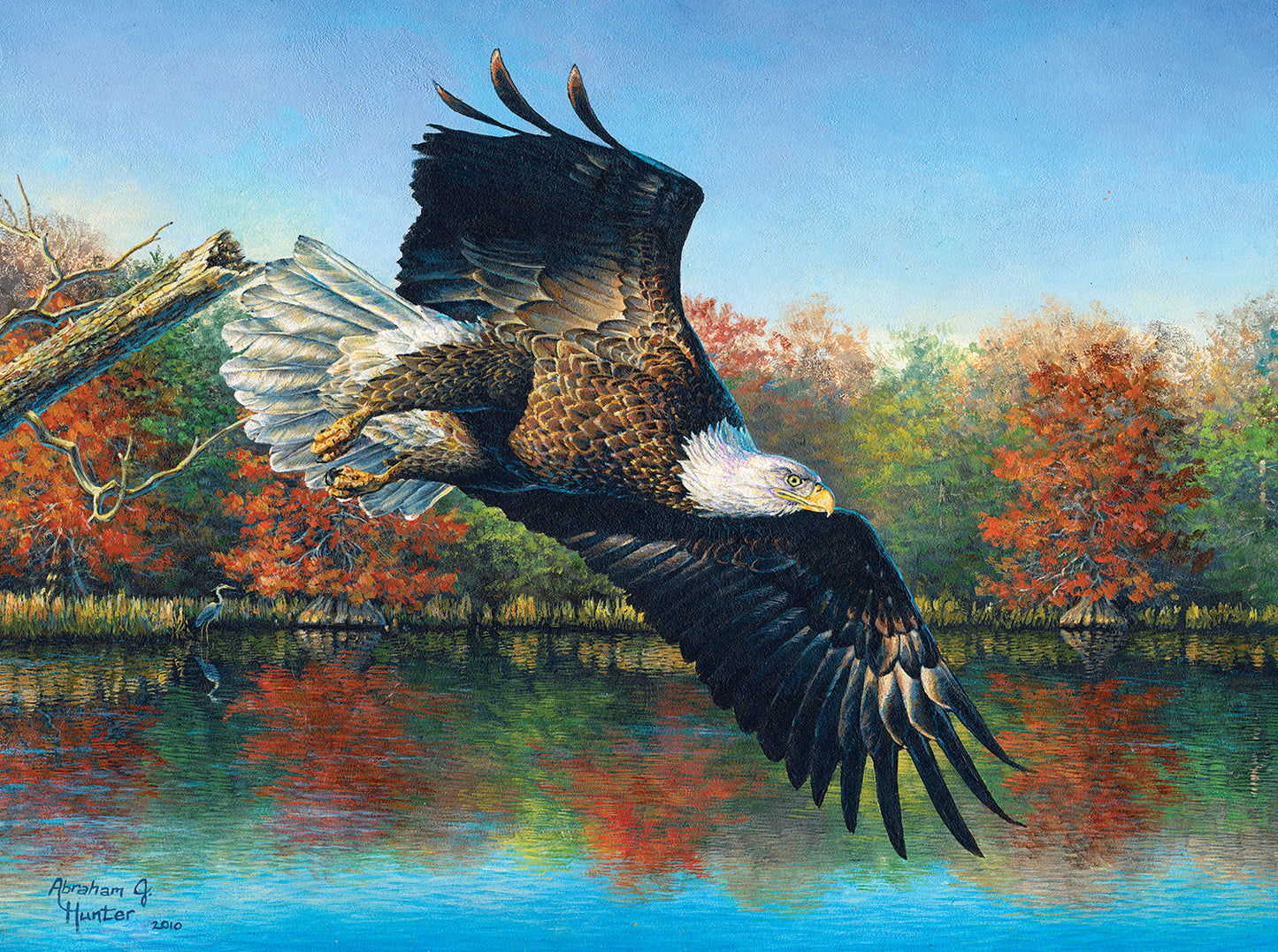 Wetlands Eagle 1000 pc Jigsaw Puzzle 69607
