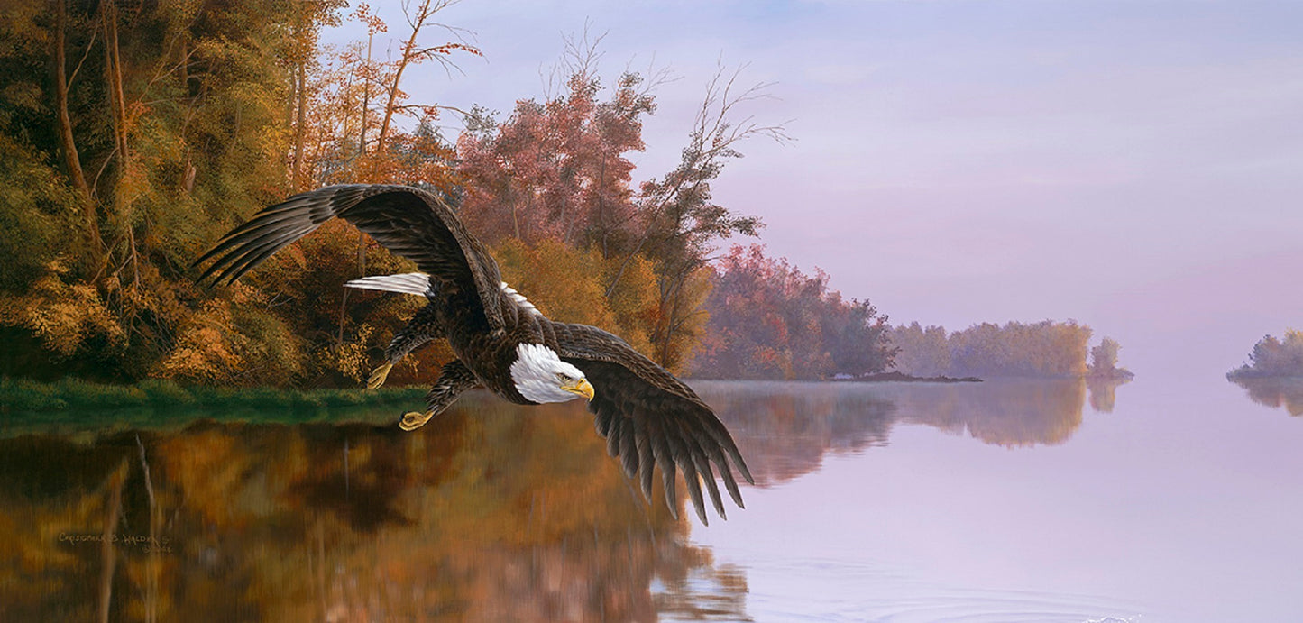 Lake Patrol 1000 pc Jigsaw Puzzle 56410