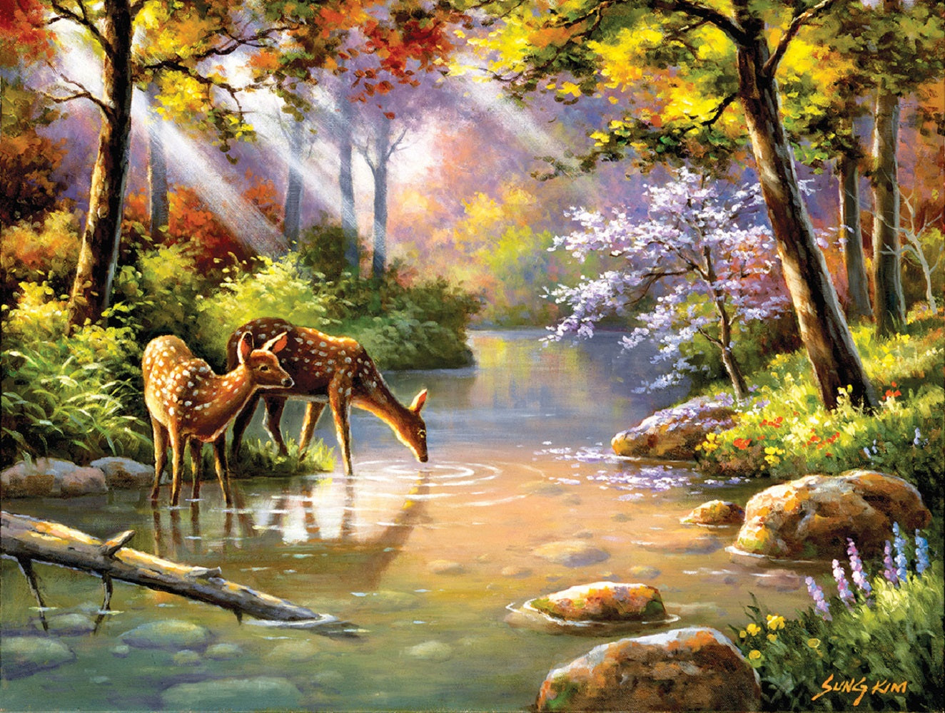 Doe Re Me Creek 300 pc Jigsaw Puzzle 36599