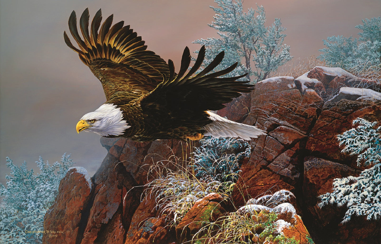 Wind Surfer 1000 pc Jigsaw Puzzle 56415