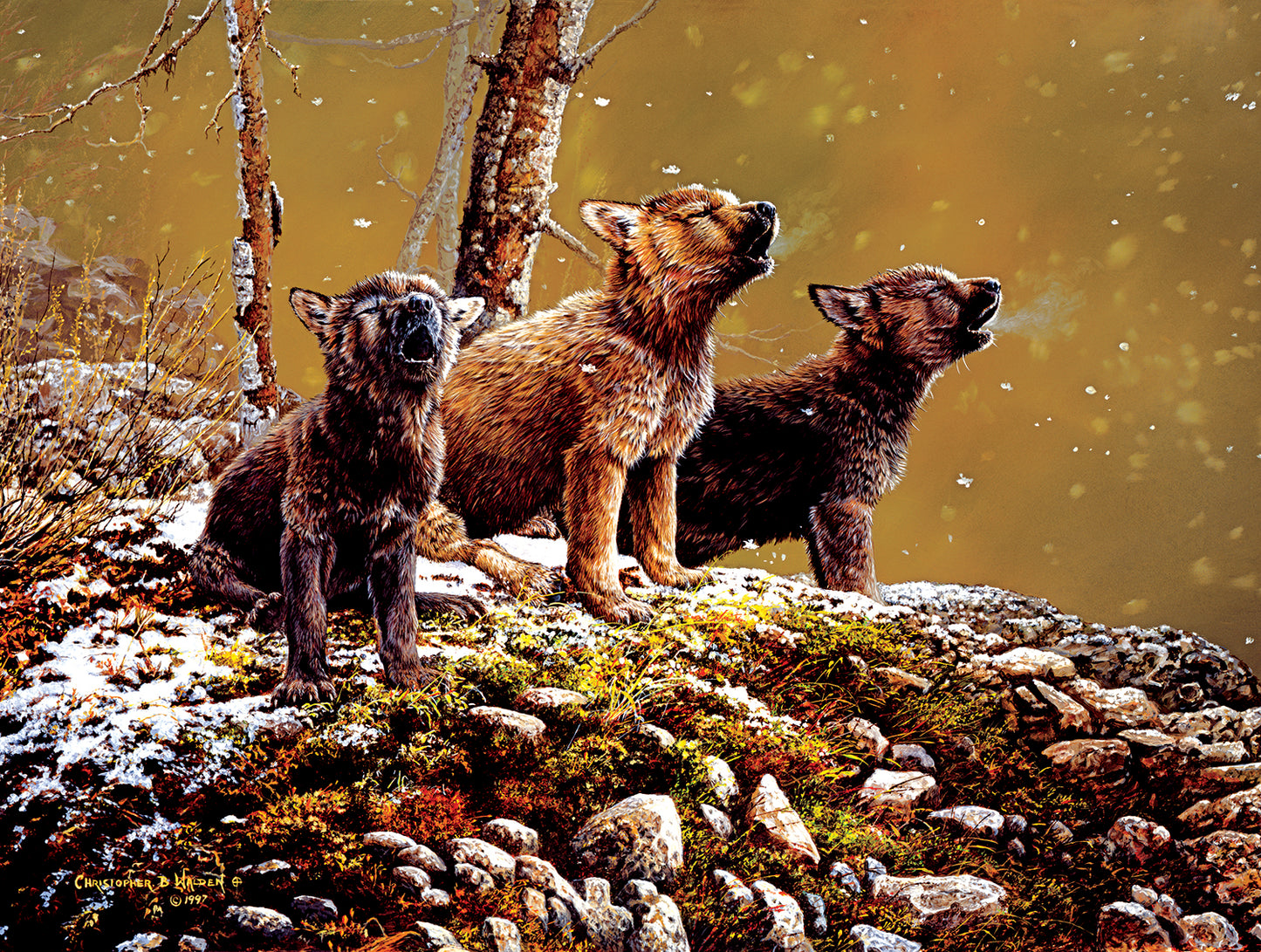 Nature's Song 500 pc Jigsaw Puzzle 56478
