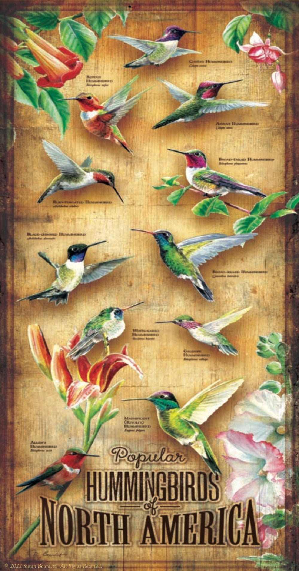Hummingbirds of North America 500 pc Jigsaw Puzzle 66401
