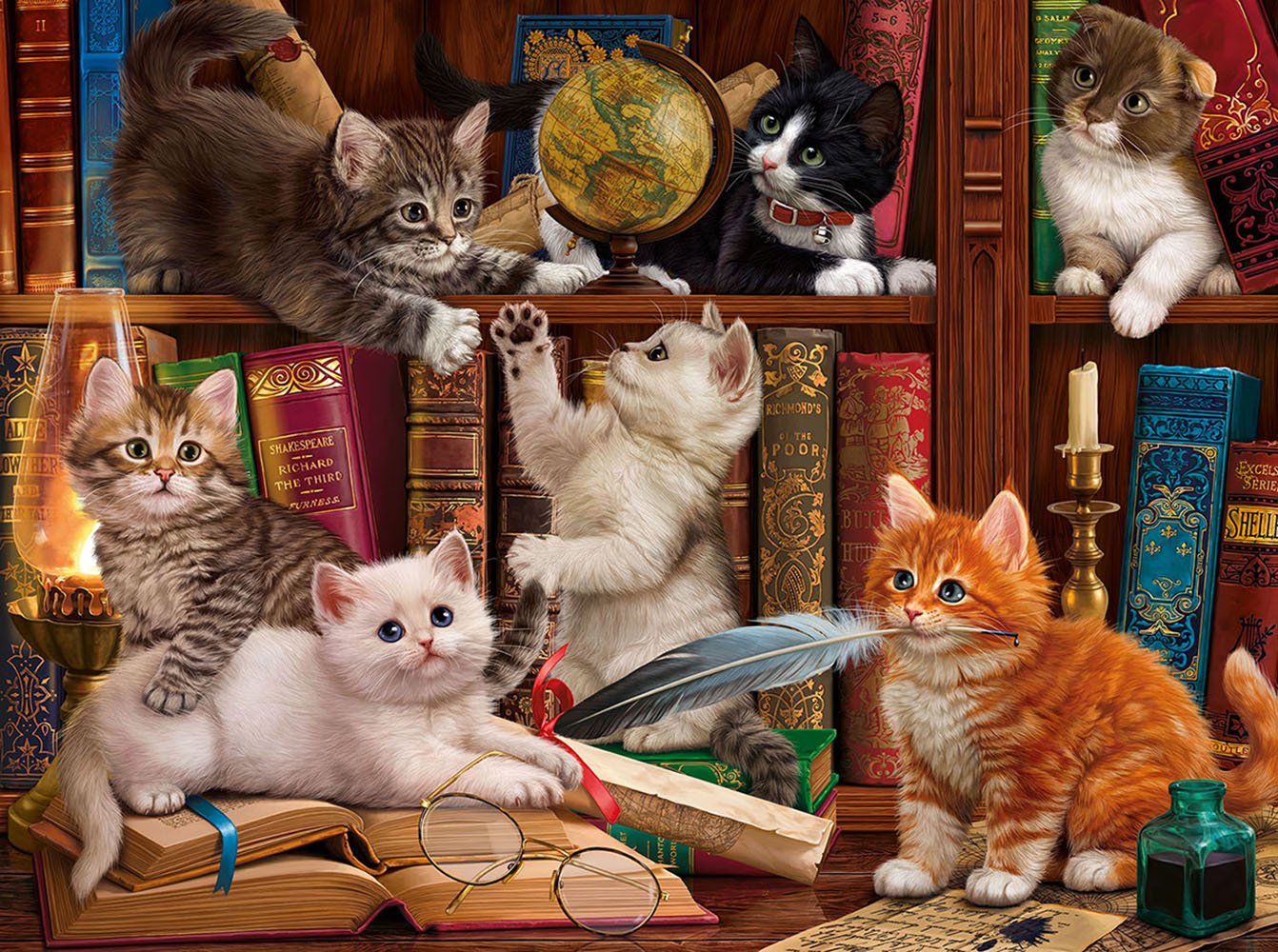 Library Kittens 1000 pc Jigsaw Puzzle 42962
