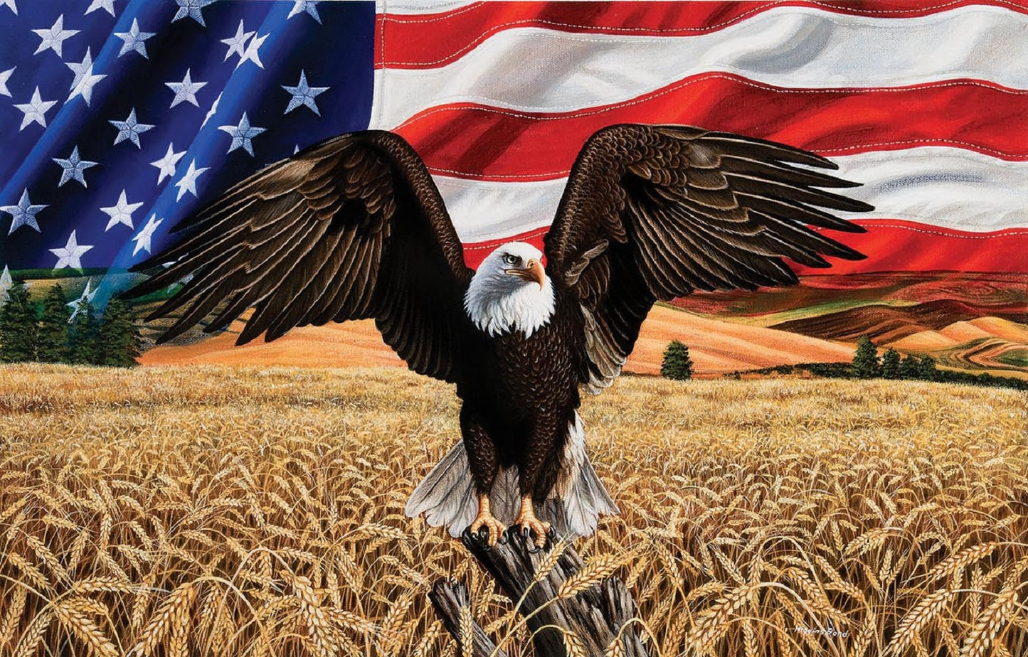 Amber Waves of Grain 1000 pc Jigsaw Puzzle 45809