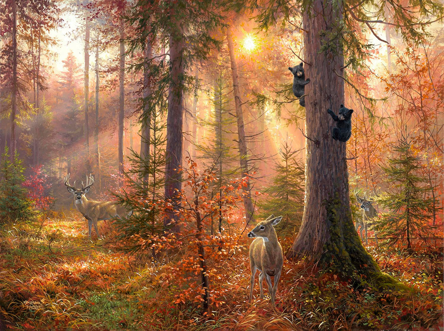 Forest Light 300 pc Jigsaw Puzzle 69404