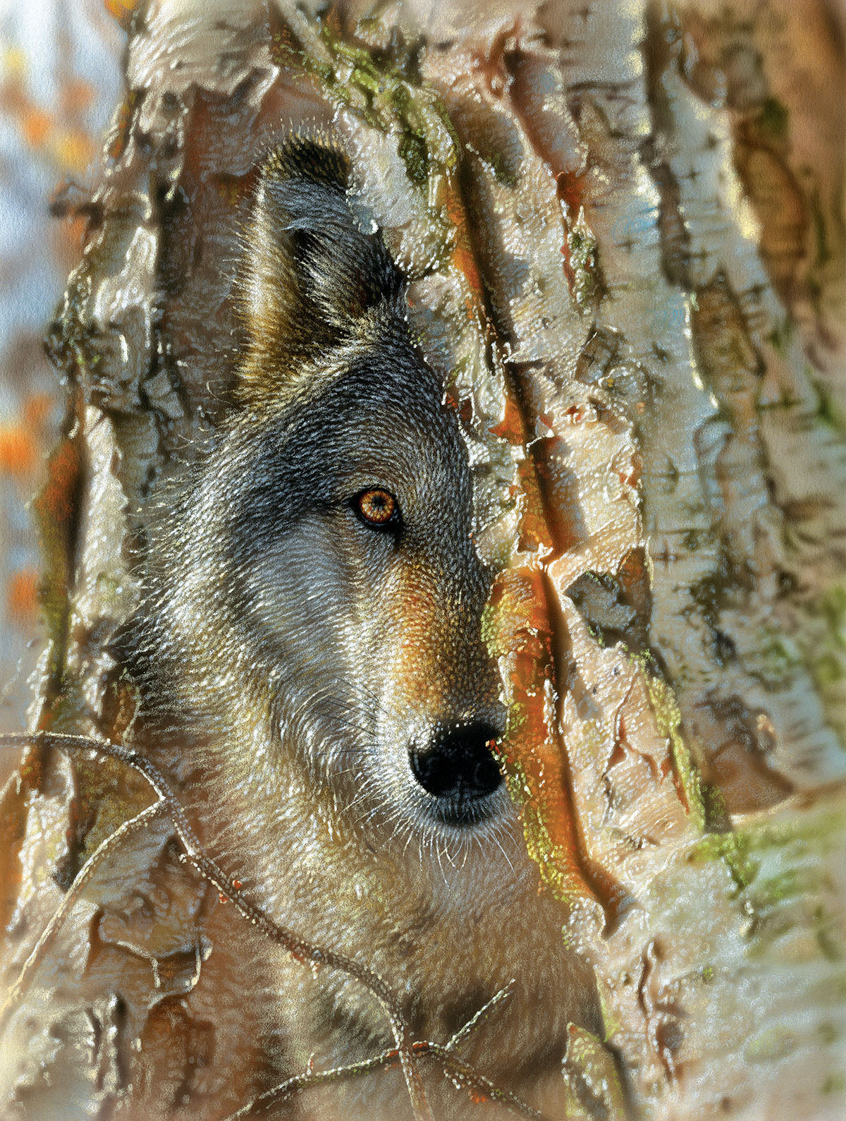 Wolf Encounter 500 pc Jigsaw Puzzle 69843