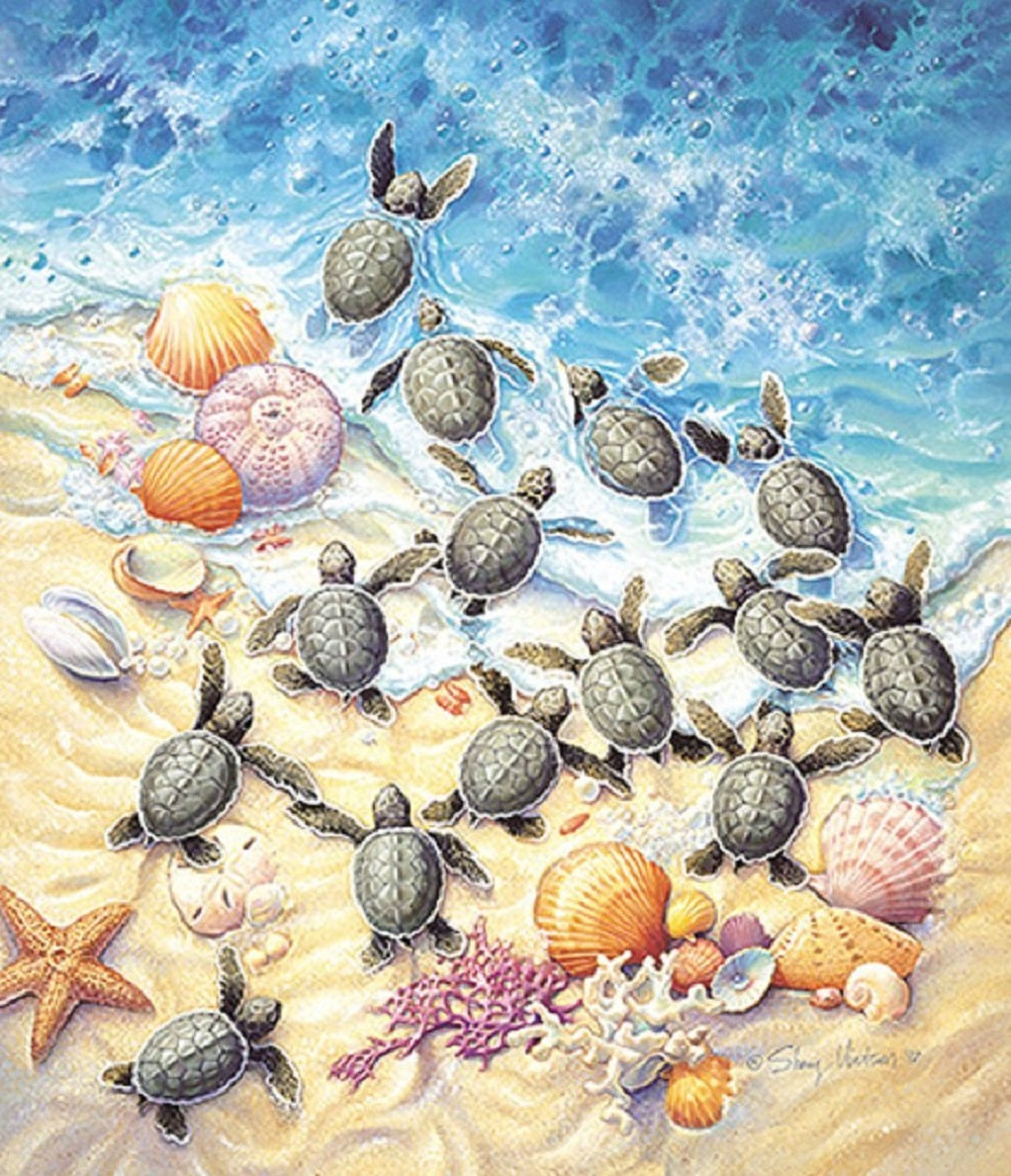 Green Turtle Hatchlings 550 pc  Jigsaw Puzzle SV45501