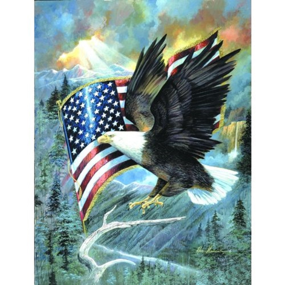 American Eagle 500 pc  Jigsaw Puzzle CL59012