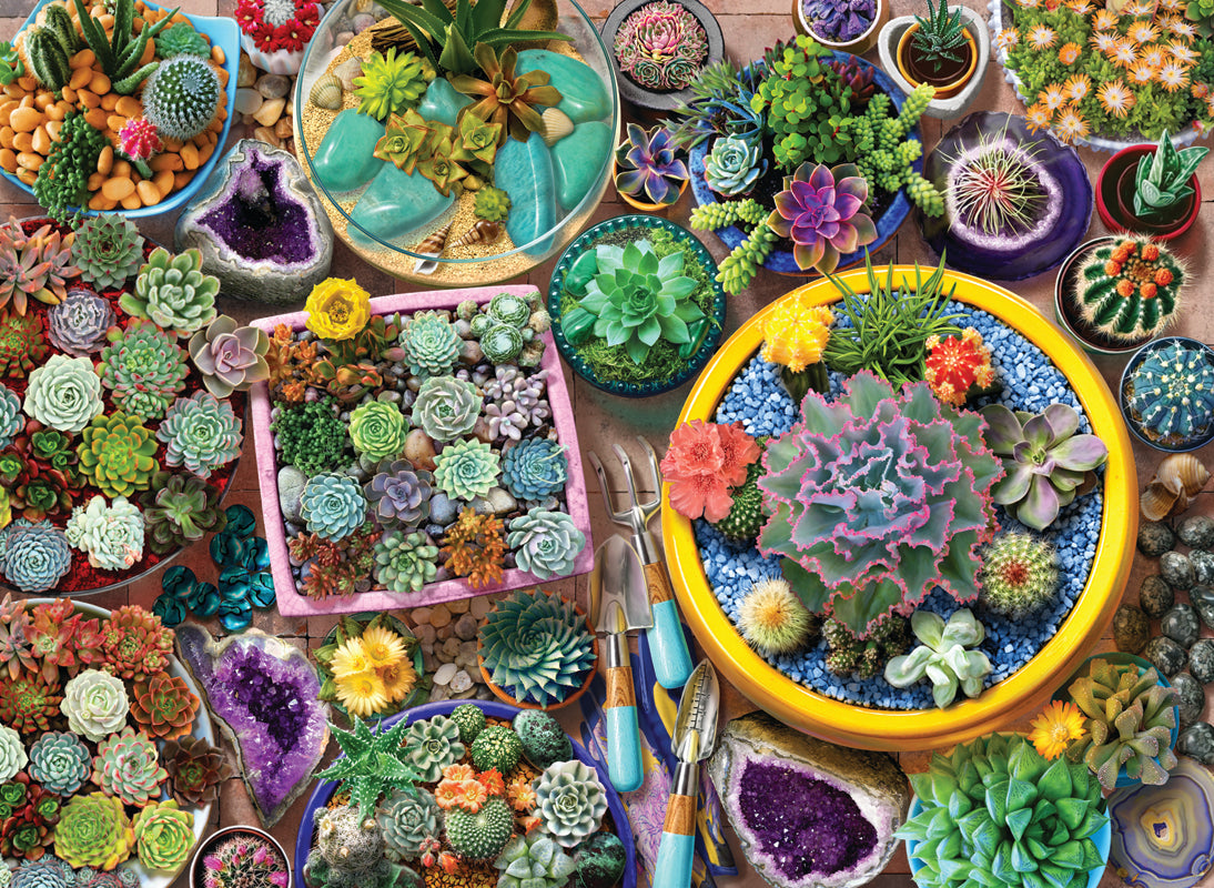 Cacti Pots 1000 pc  Jigsaw Puzzle 1122