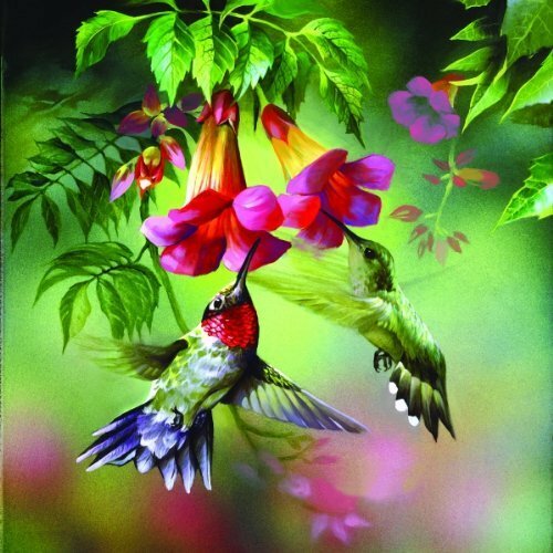 Summer Hummer 1000 pc  Jigsaw Puzzle 63160