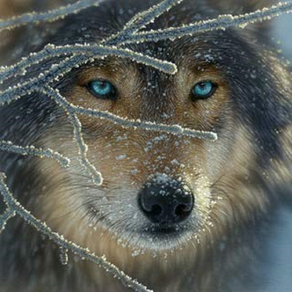 Fire Within Ice 500 pc  Jigsaw Puzzle 21859