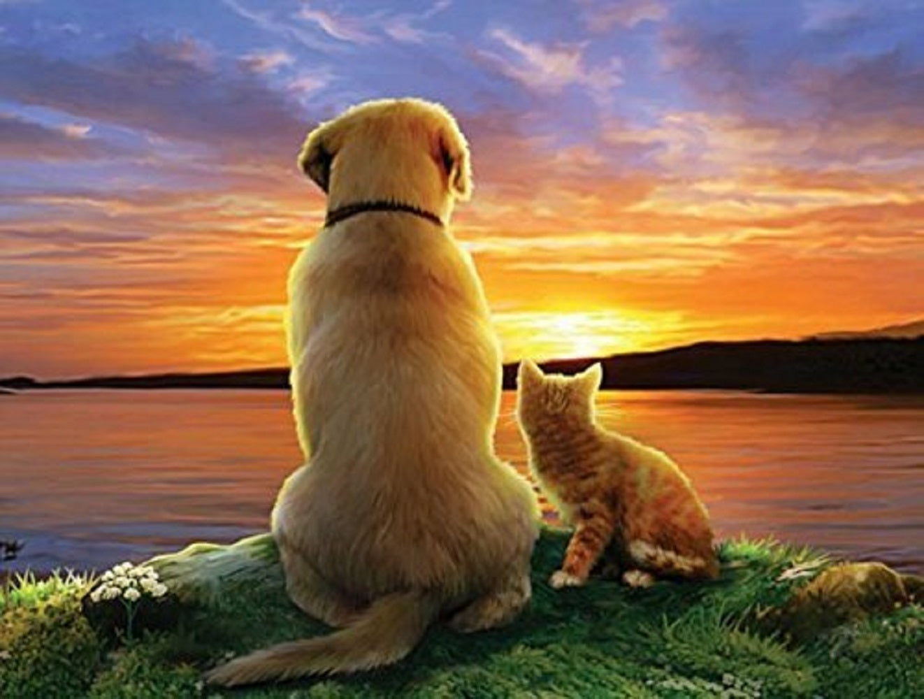 As the Sun Sets 300 pc  Jigsaw Puzzle 59388