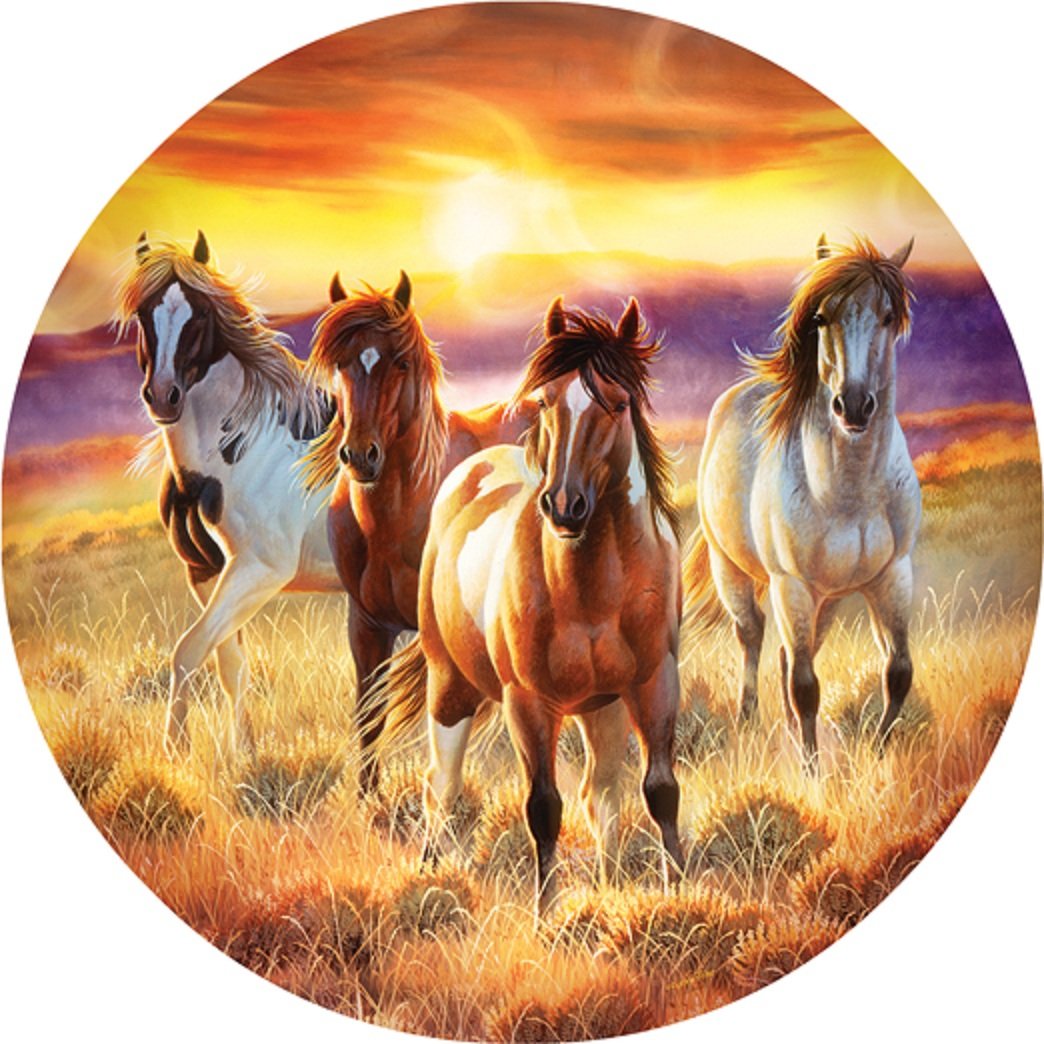 Running in the sun 500 pc Round Jigsaw Puzzle 70997