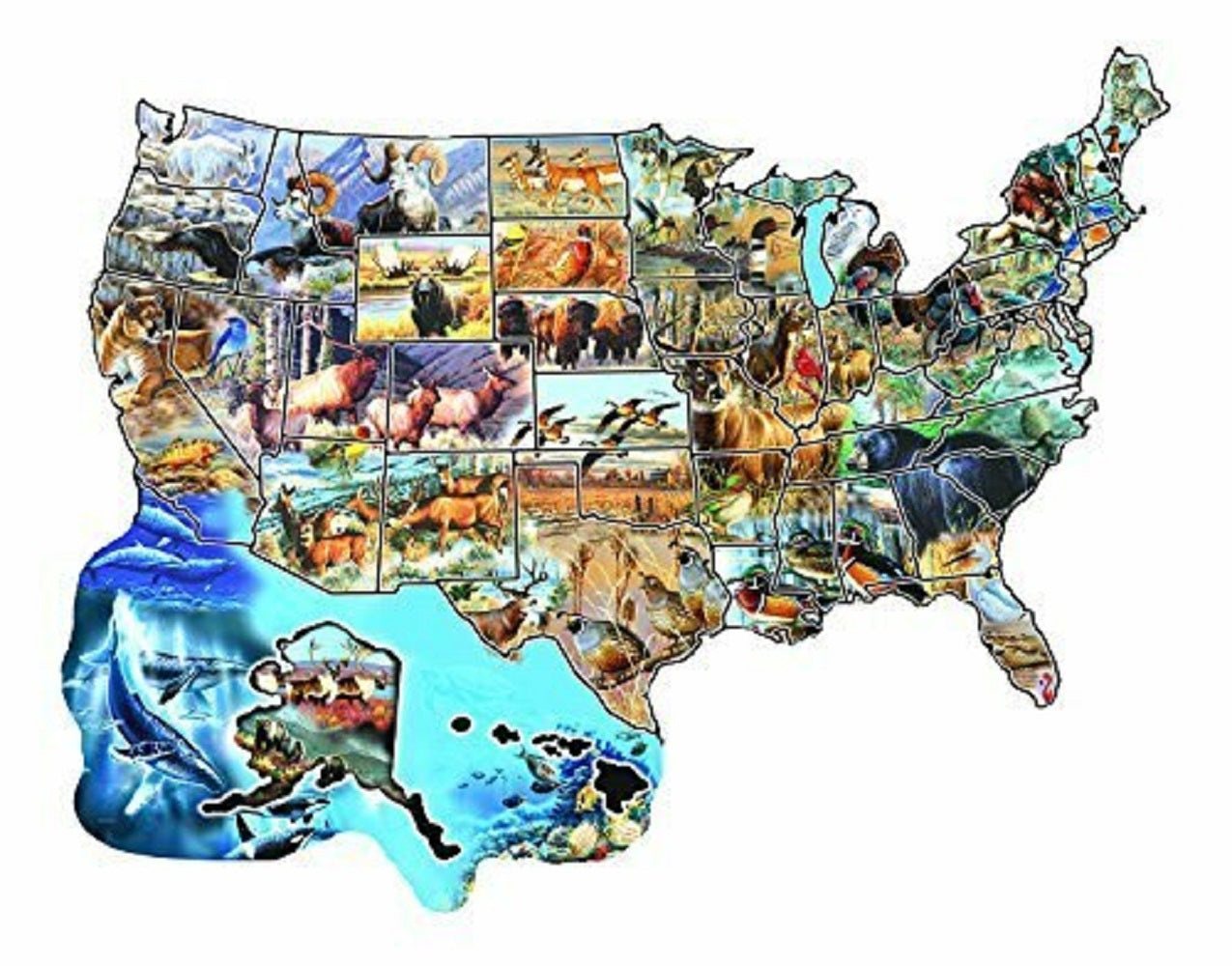 Wild America 600 pc Special Shape Jigsaw Puzzle 96041