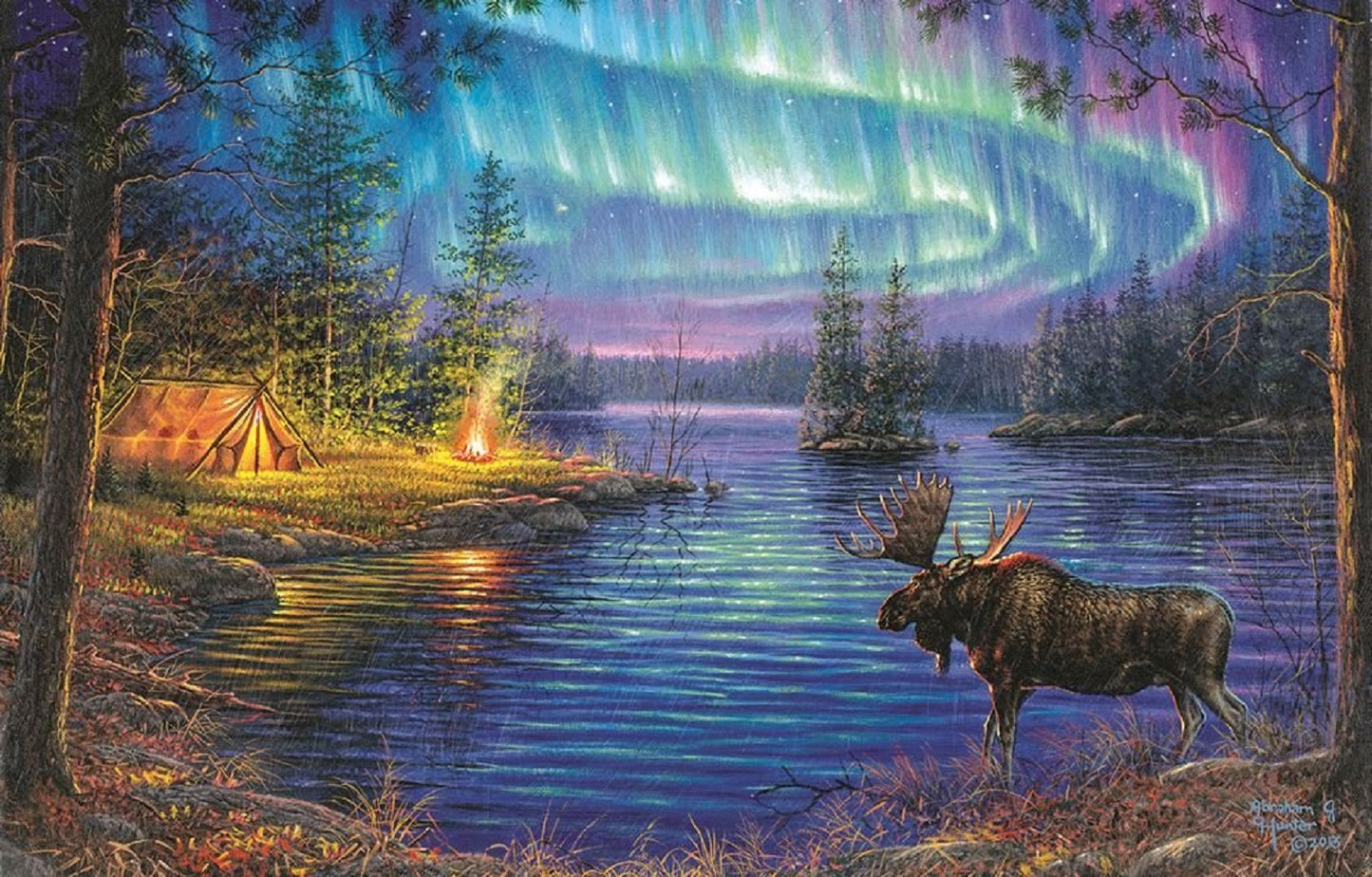 Northern Night 1000 pc  Jigsaw Puzzle 69632