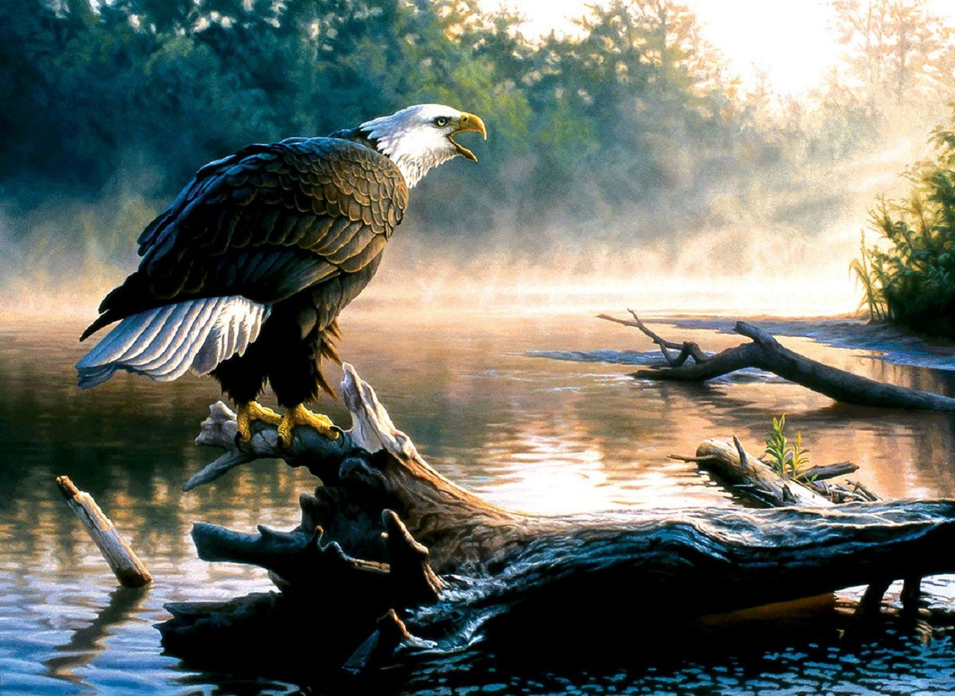 Scouting the River 1000 pc  Jigsaw Puzzle 62349