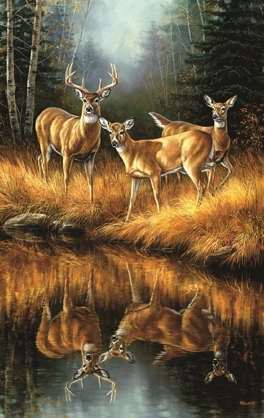 Whitetail Reflections 550 pc  Jigsaw Puzzle 30923