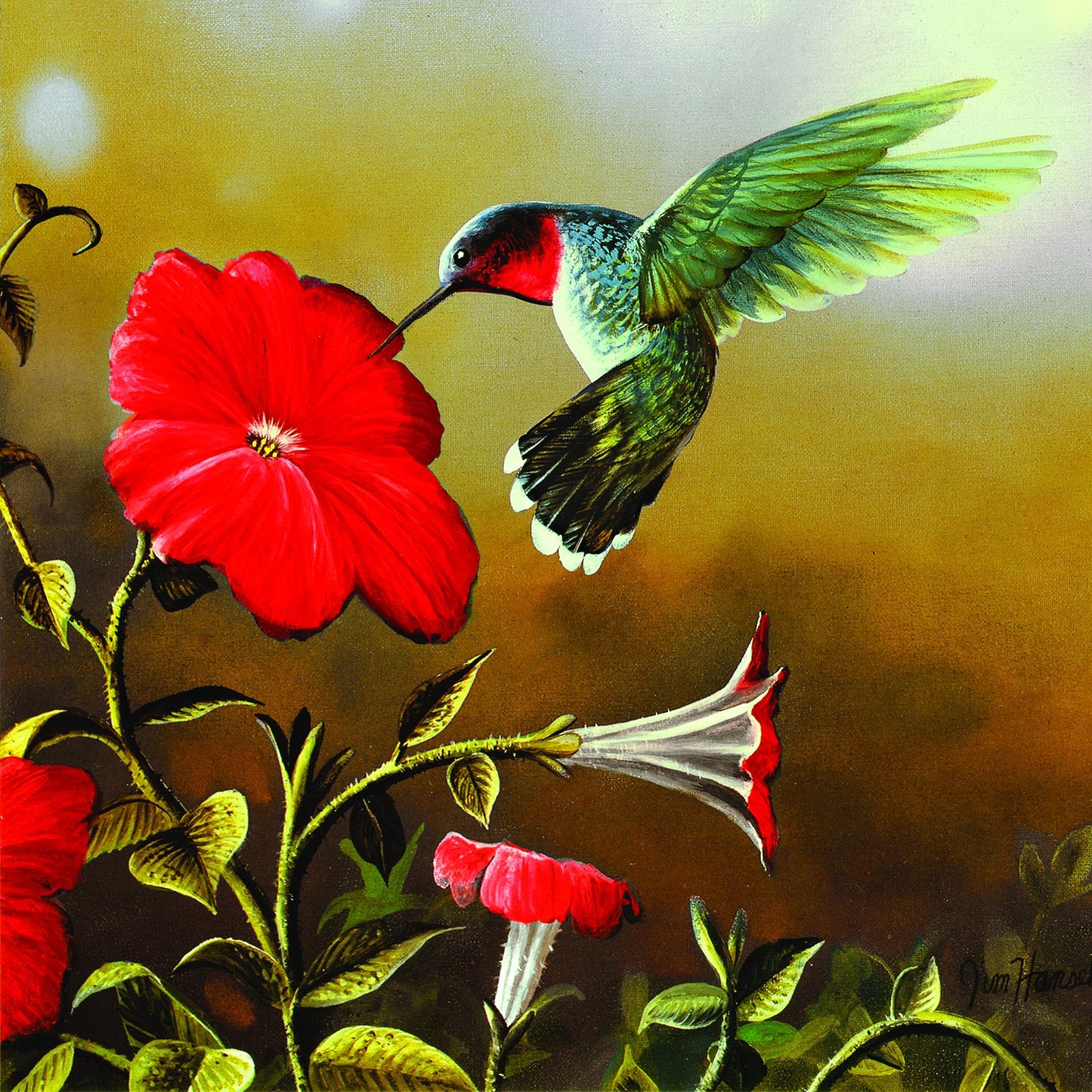 Ruby Throat 500 pc  Jigsaw Puzzle 67324