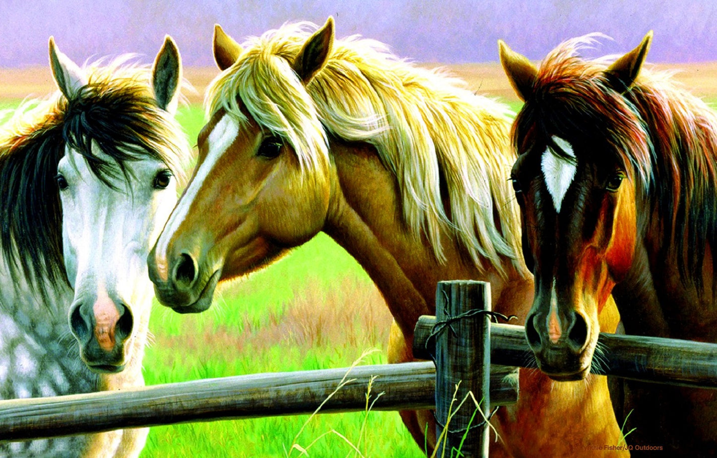 Horse Fence 1000 pc  Jigsaw Puzzle 70922