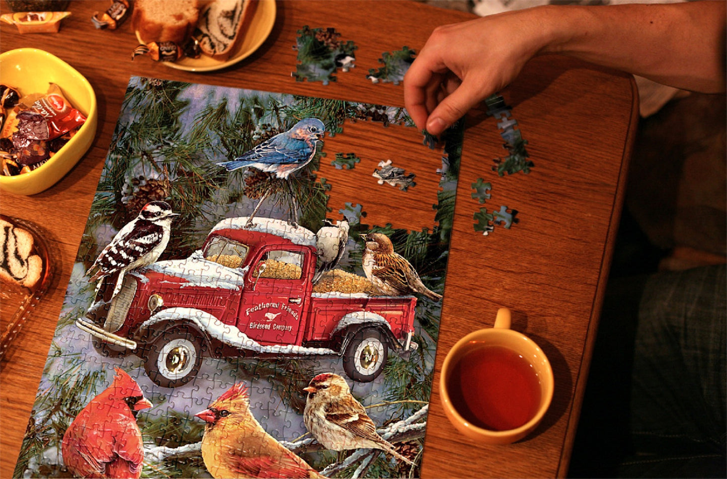 Pickup Feeder 500 pc  Jigsaw Puzzle 37145