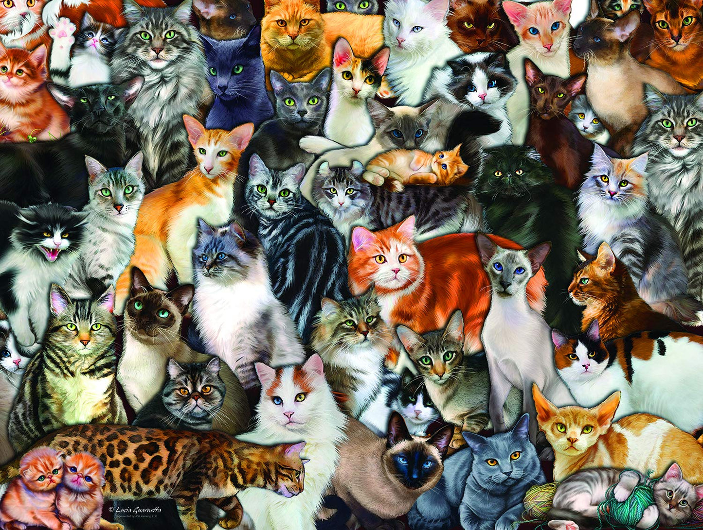Cat Collage 300 pc  Jigsaw Puzzle 60934
