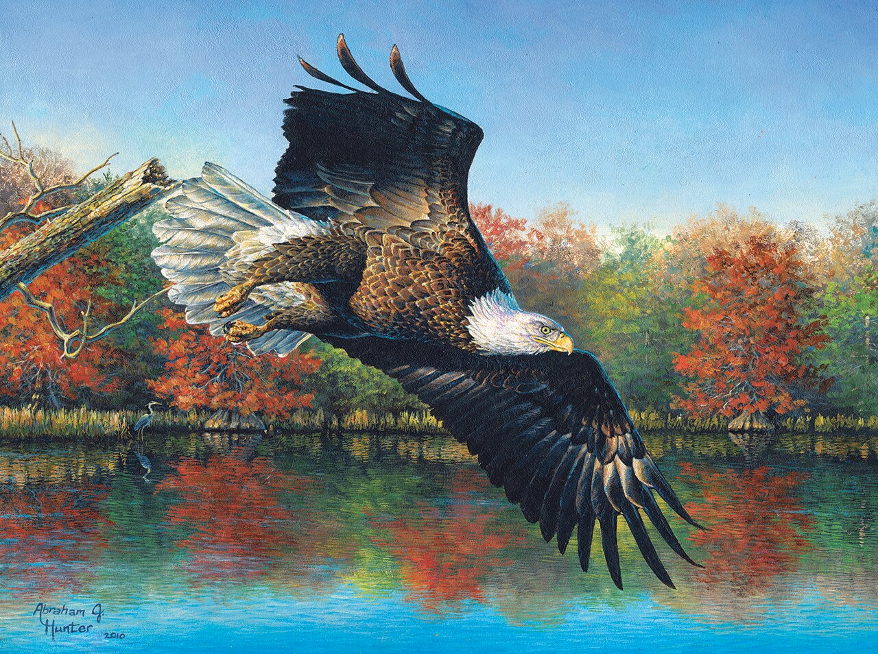 Wetlands Eagle 1000 pc  Jigsaw Puzzle 69607