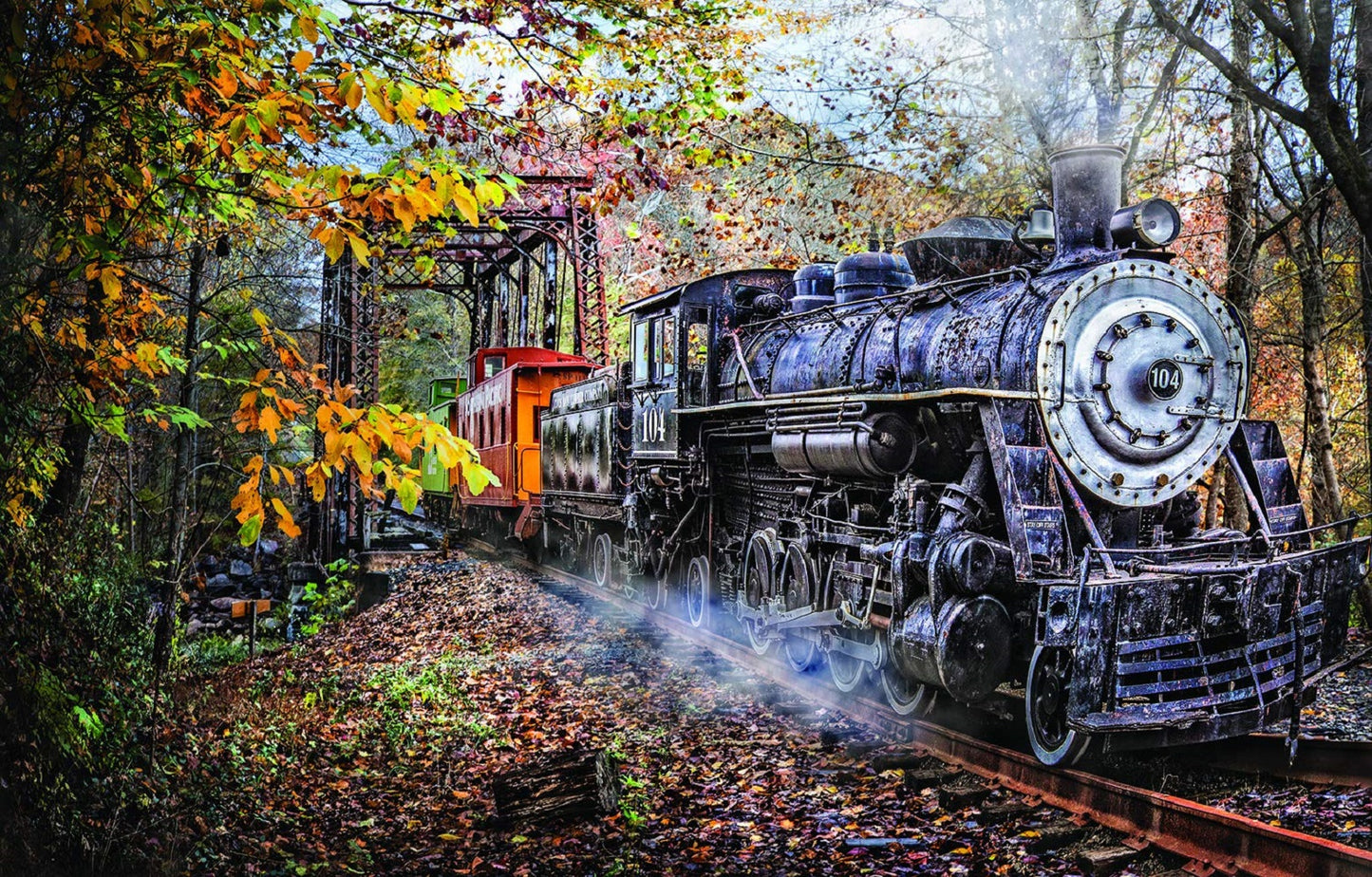 Train's Coming 1000 pc  Jigsaw Puzzle 30121