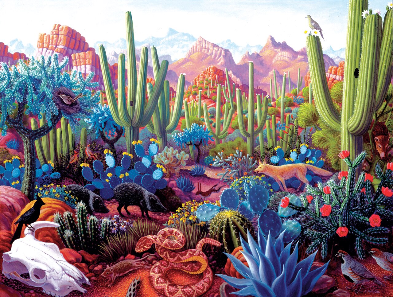 Cactusland 1000 pc  Jigsaw Puzzle 69936