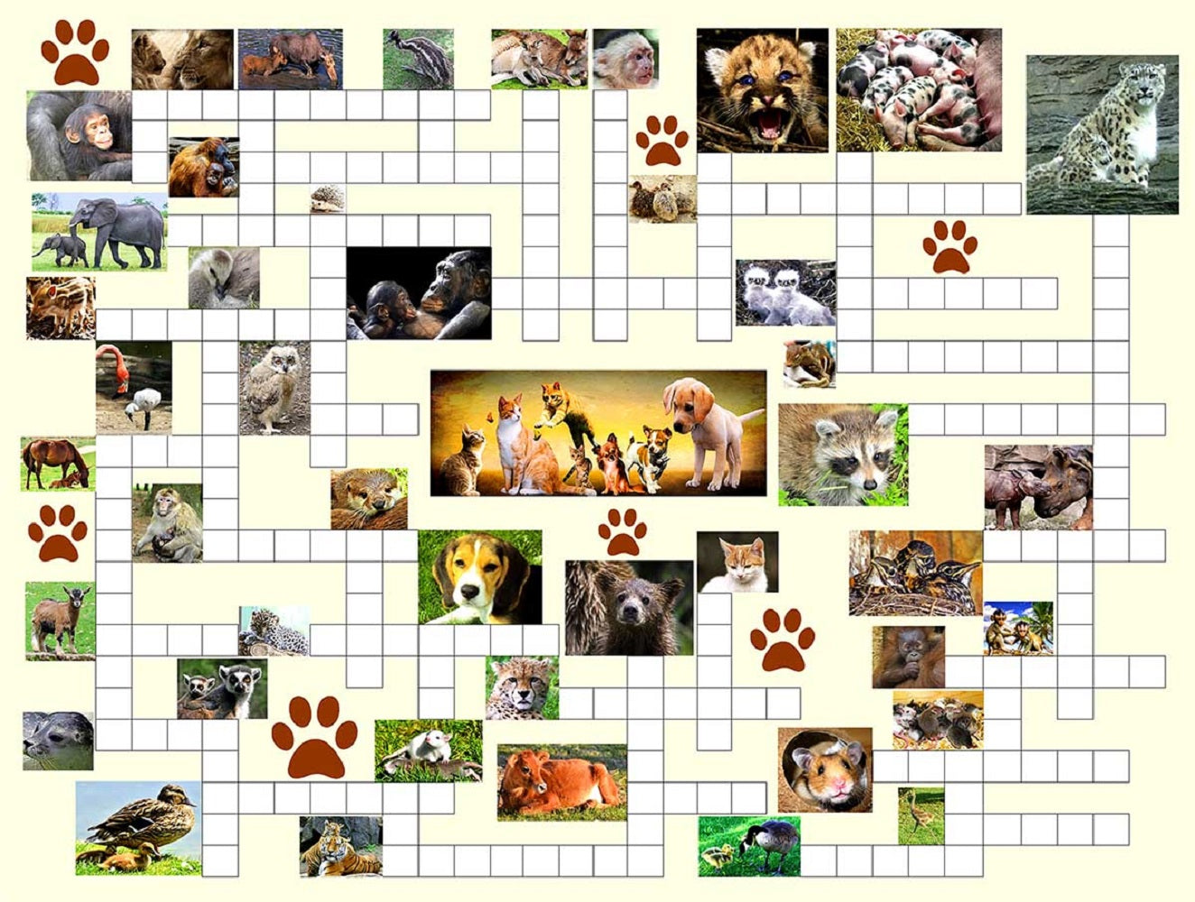 Animal Nursery 500 pc Puzzle Combo Jigsaw Puzzle 10160