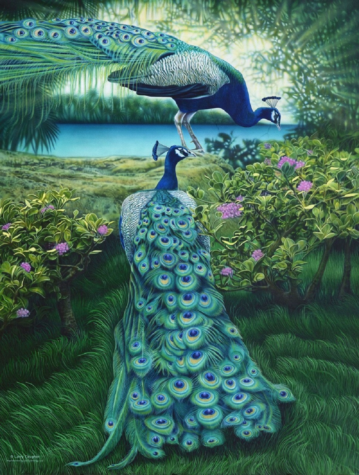 A Pair of Peacocks 500 pc  Jigsaw Puzzle 47150