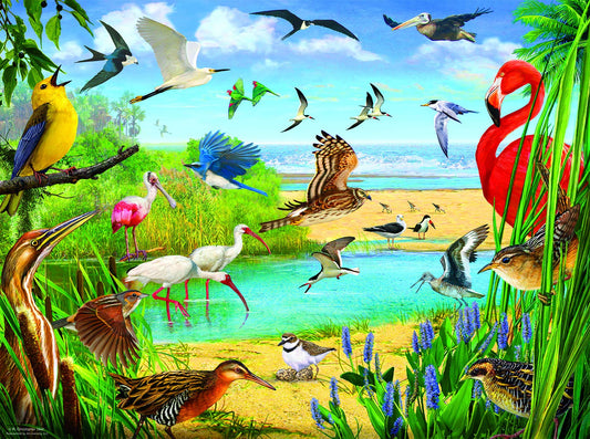 Florida Birds 1000 pc  Jigsaw Puzzle 70028