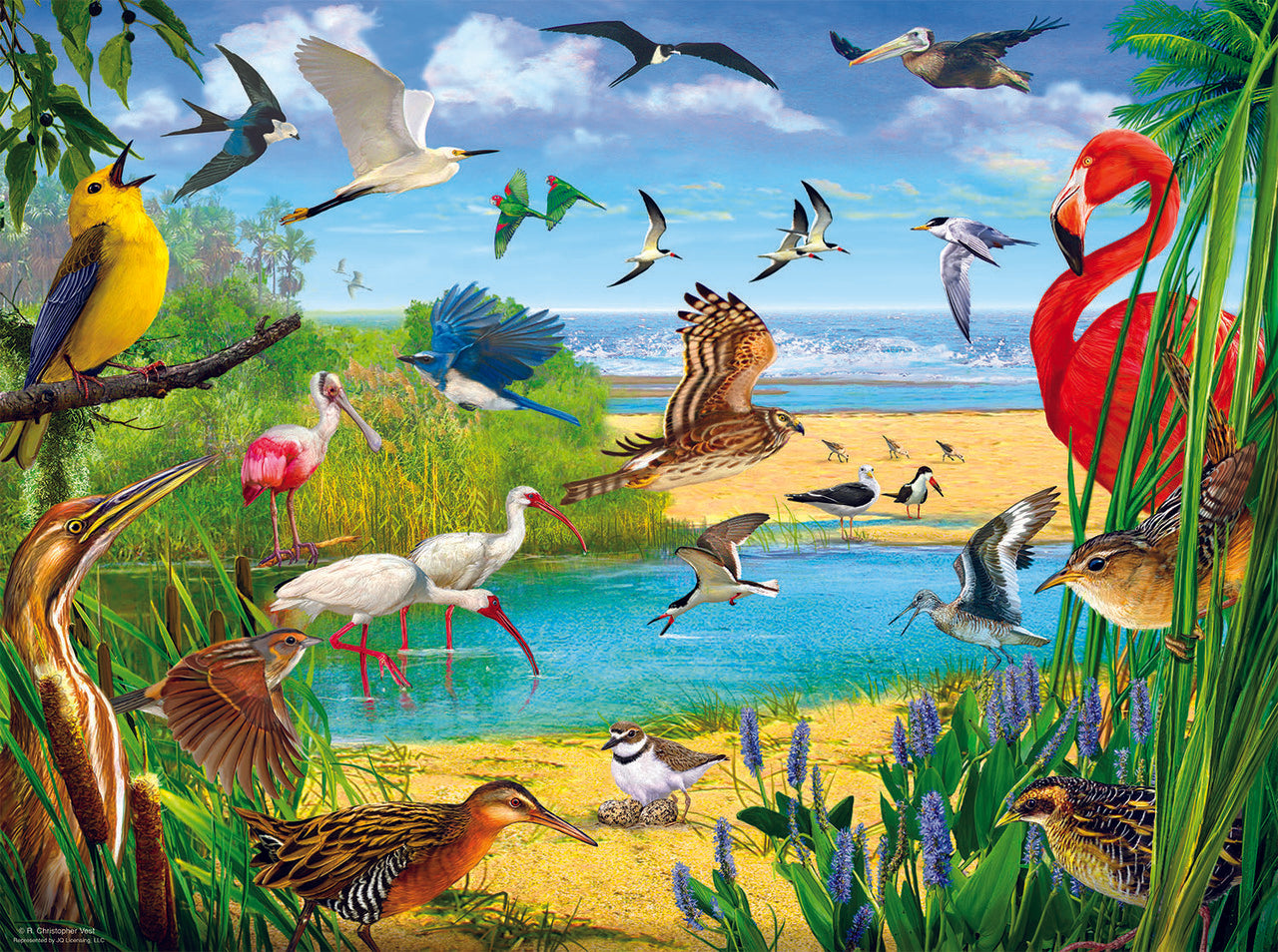 Florida Birds 1000 pc  Jigsaw Puzzle 70028