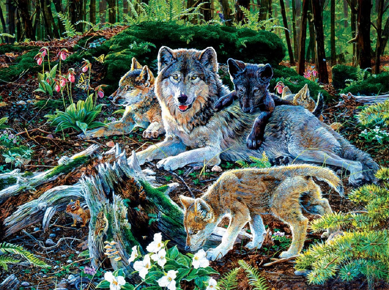 Forest Wolf Family 500 pc  Jigsaw Puzzle 60506