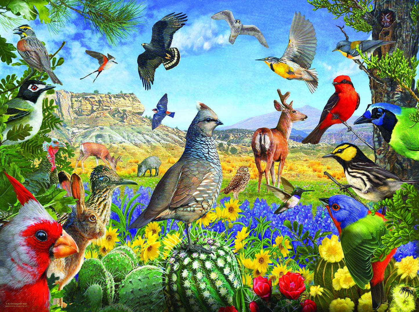 Texas Birds 1000 pc  Jigsaw Puzzle 70939
