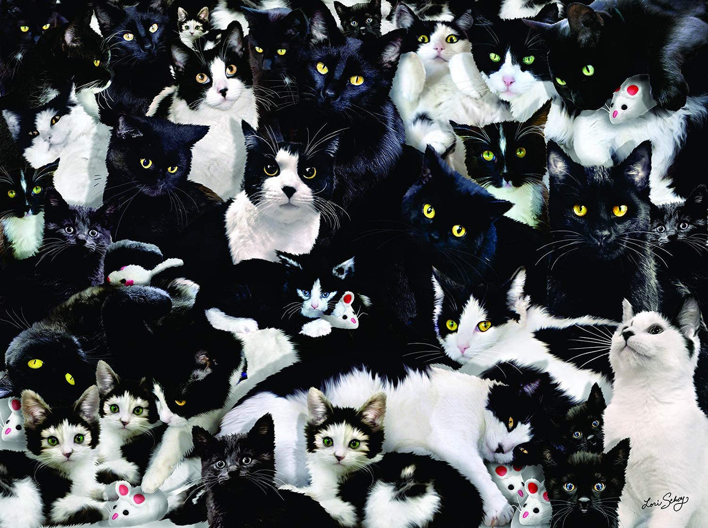 Study in Black and White 1000 pc  Jigsaw Puzzle 35180
