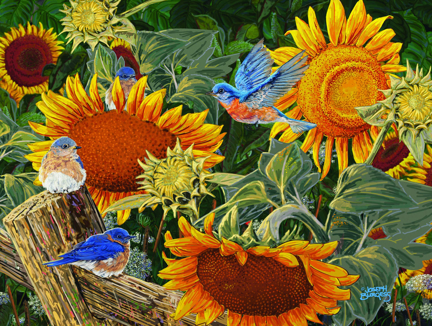 Sunflower Patch 300 pc  Jigsaw Puzzle 38949