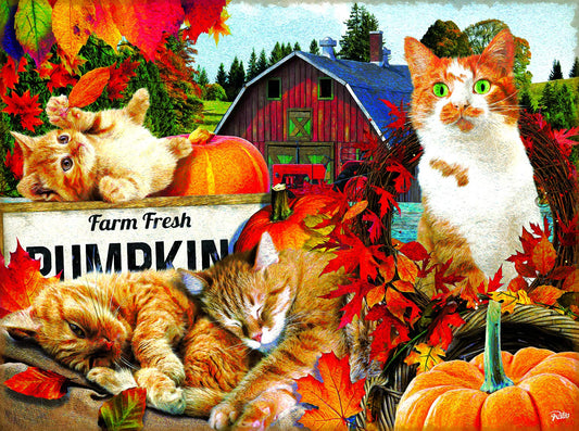 Farm Fresh Pumpkins 300 pc  Jigsaw Puzzle 42225