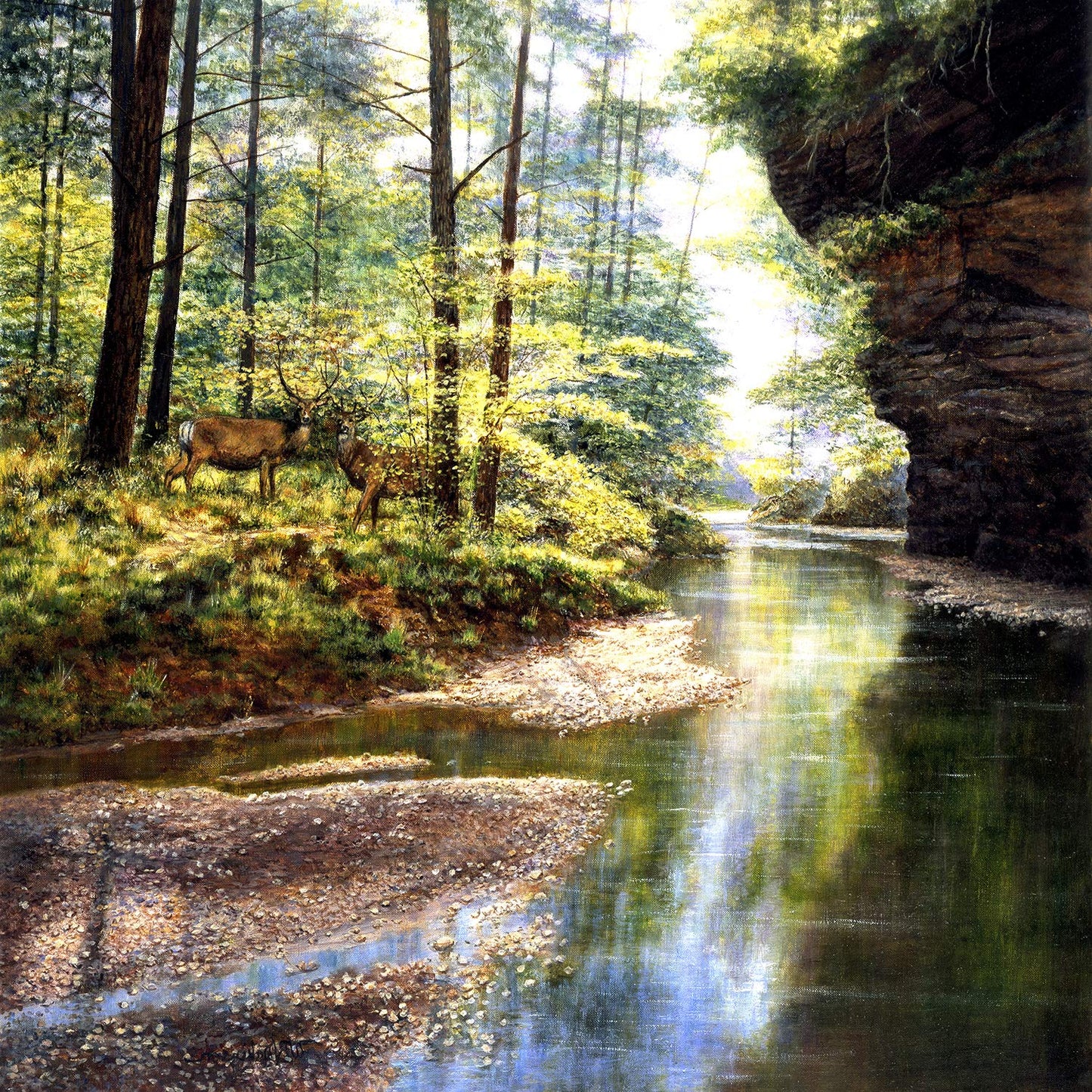 Quiet Forest 1000 pc  Jigsaw Puzzle 44720