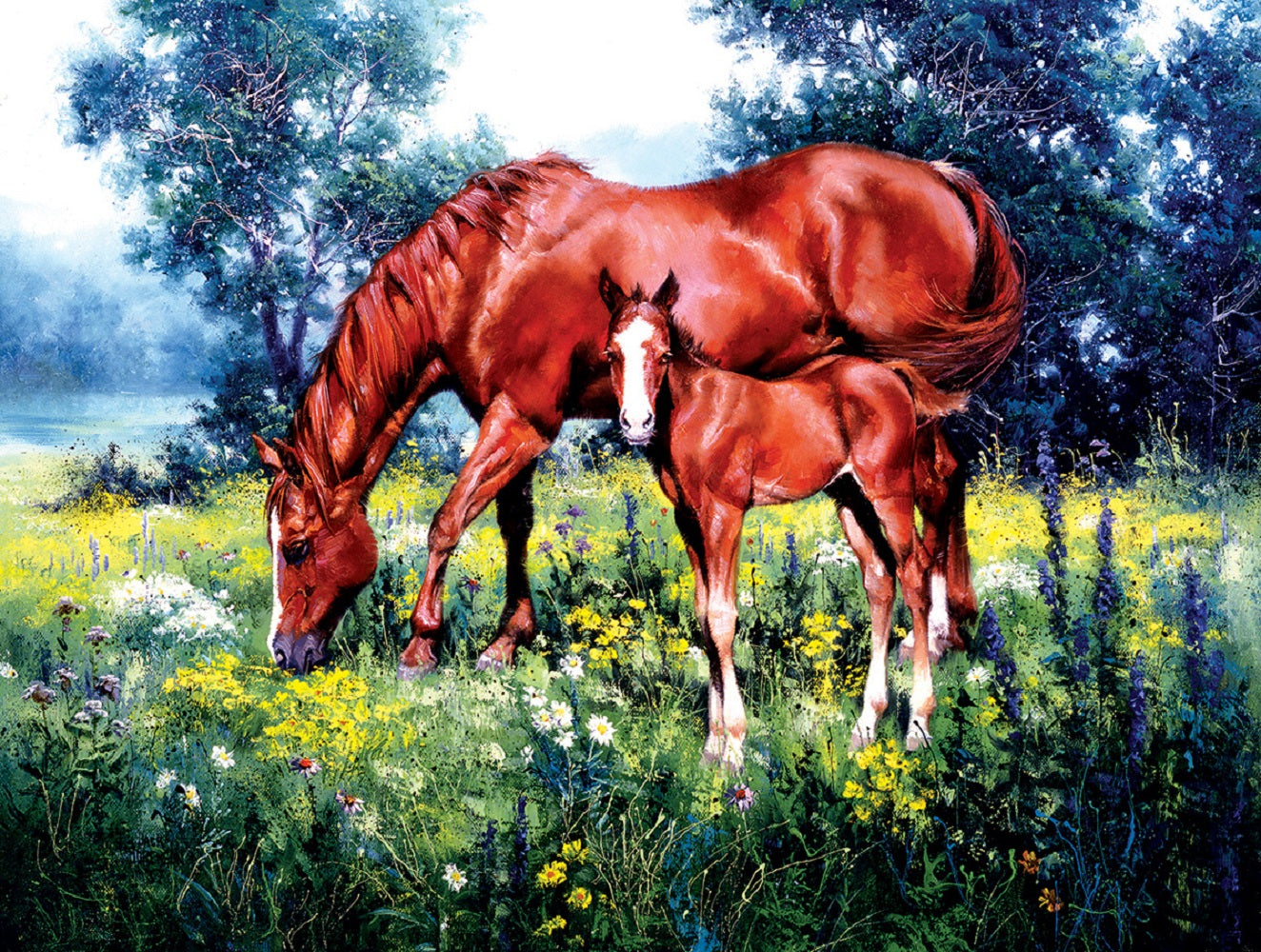 Daisy 1000 pc  Jigsaw Puzzle 16737