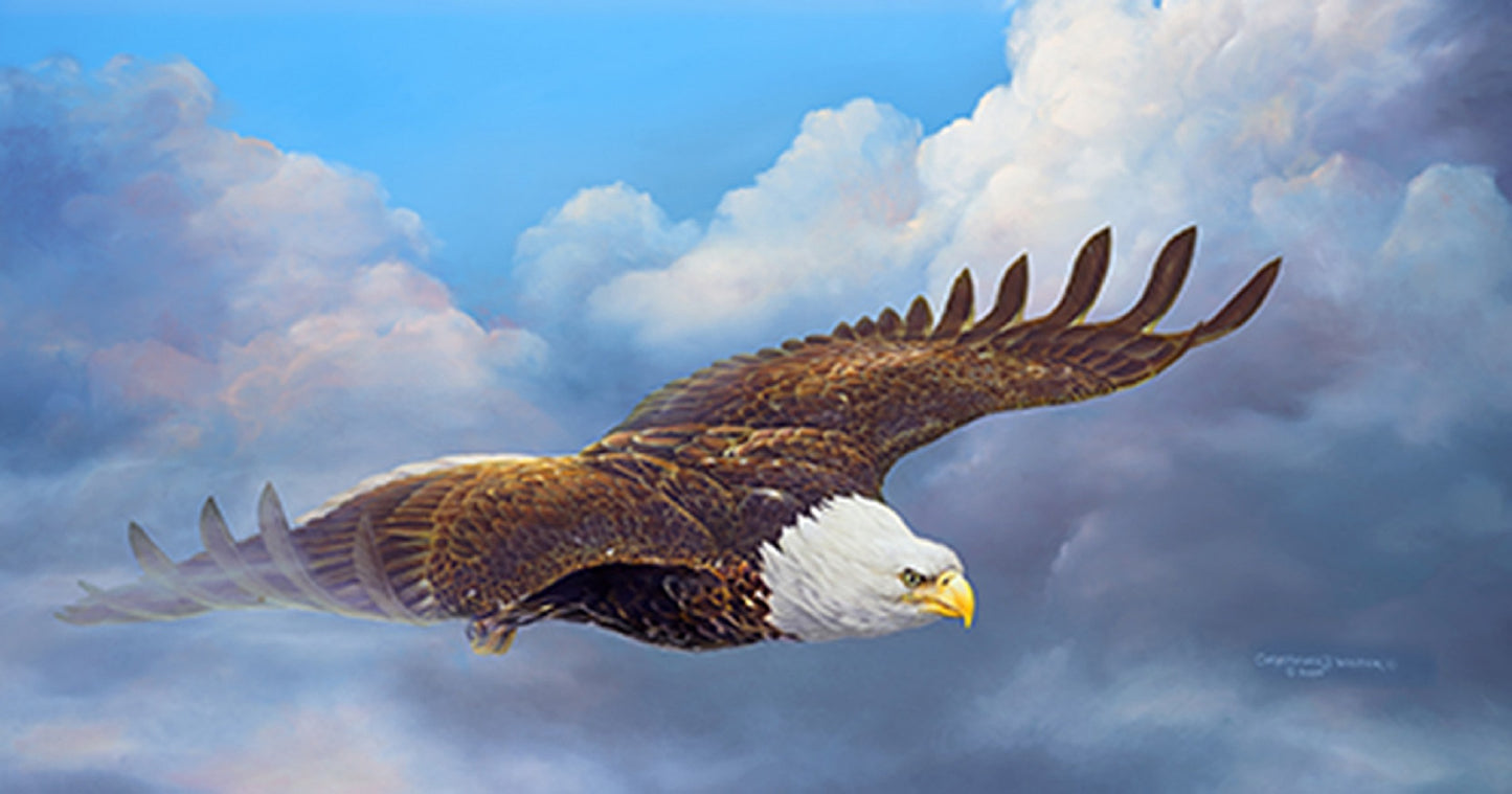 Cloud Nine 500 pc  Jigsaw Puzzle 56437
