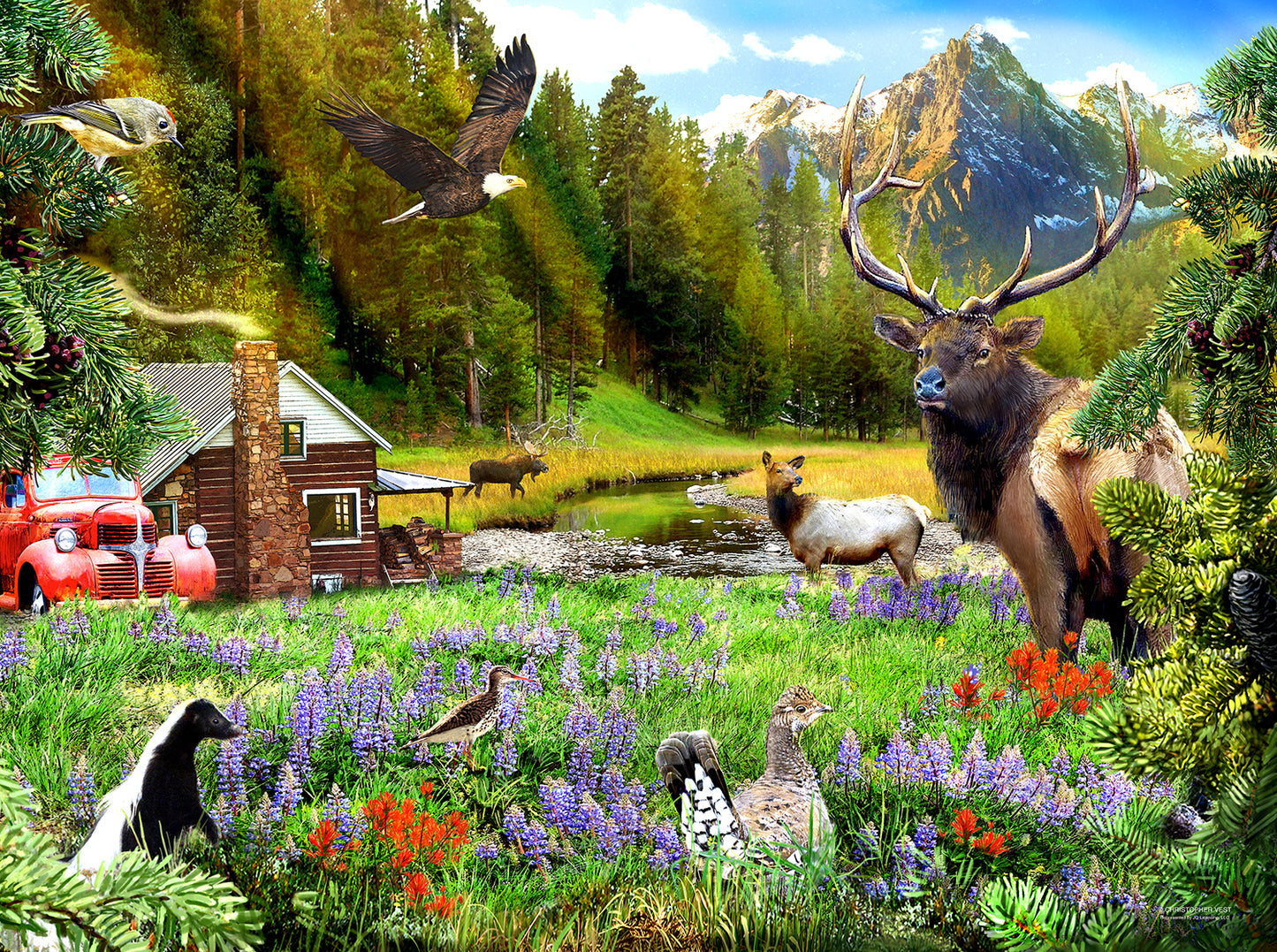 Out in the Woods 1000 pc  Jigsaw Puzzle 58638