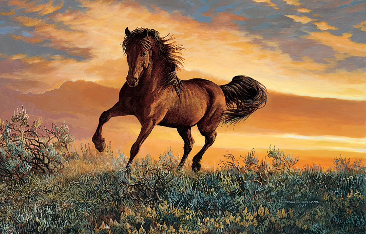 Mustang Sky 1000 pc  Jigsaw Puzzle 51559