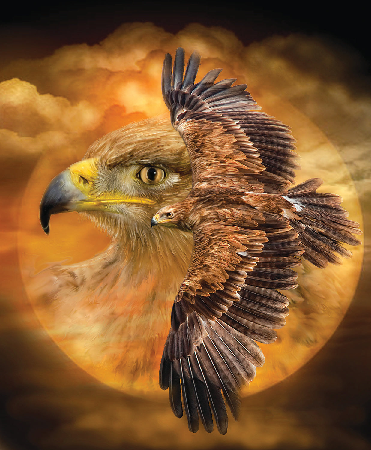 Spirit of the Wind 1000 pc  Jigsaw Puzzle 55641