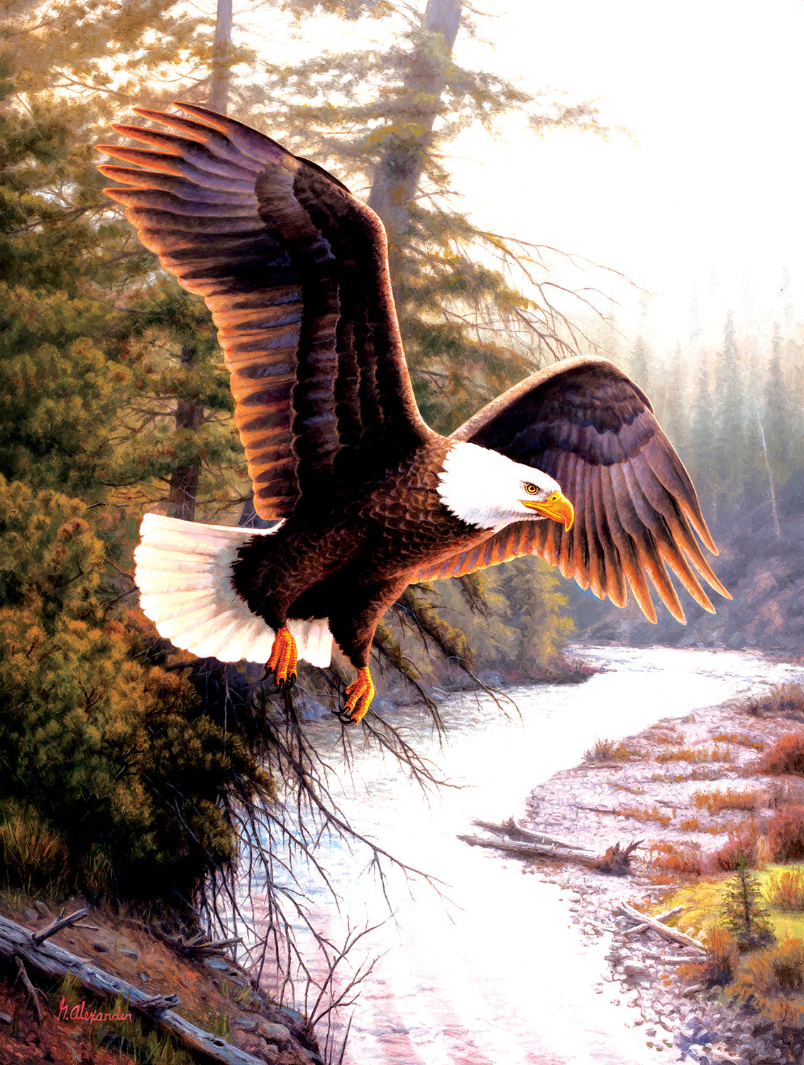 Eagle Patriot 500 pc  Jigsaw Puzzle 62372